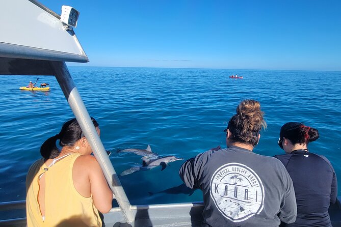 'Imiloa Express Nā Pali Snorkel Tour - Entering the World of Na Pali: A Fast Catamaran, Real Views