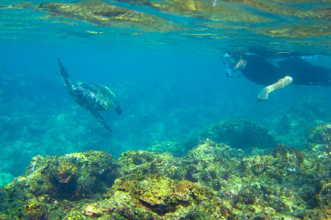 'Imiloa Express Nā Pali Snorkel Tour - Food and Drinks That Actually Matter on a Boat Trip