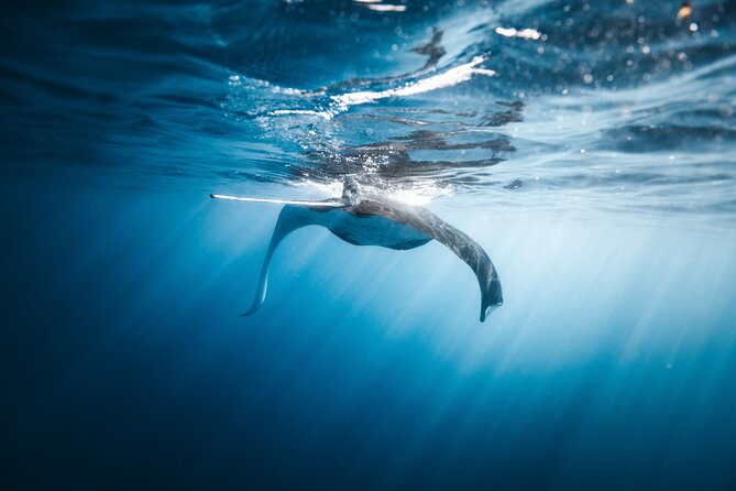 'Imiloa Express Nā Pali Snorkel Tour - Who This Tour Fits Best (And Who Might Want Another Option)