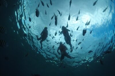 Invisible Boat Snorkeling Tour - Where to Meet: Don’t Lose Time at the Wrong Pickup Point