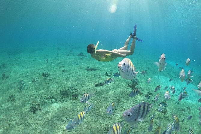 Invisible Boat Snorkeling Tour - Snorkeling Break: Gear Included, Time Limited