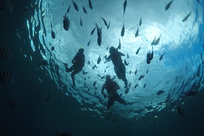 Invisible Boat Snorkeling Tour - Where to Meet: Don’t Lose Time at the Wrong Pickup Point