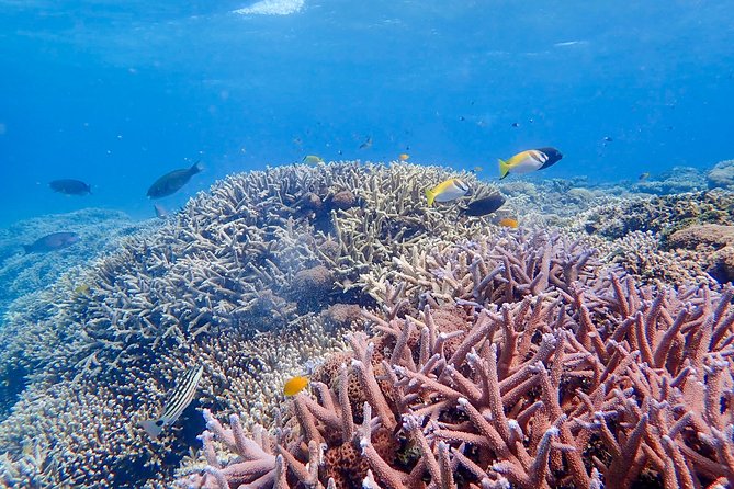 Iriomote Island 1-Day Snorkeling & Mangrove SUP or Canoe - Gear, warmth, and the small comforts that make wet days tolerable