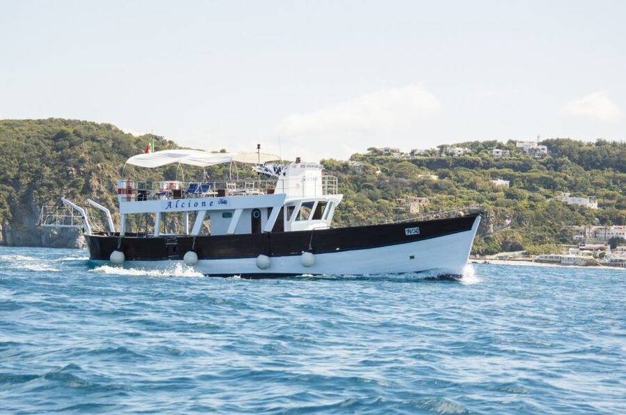 Ischia: Island Boat Tour with Neapolitan Lunch & Snorkeling - Maronti, Scarrupata, and San Pancrazio: multiple swim breaks, no boredom