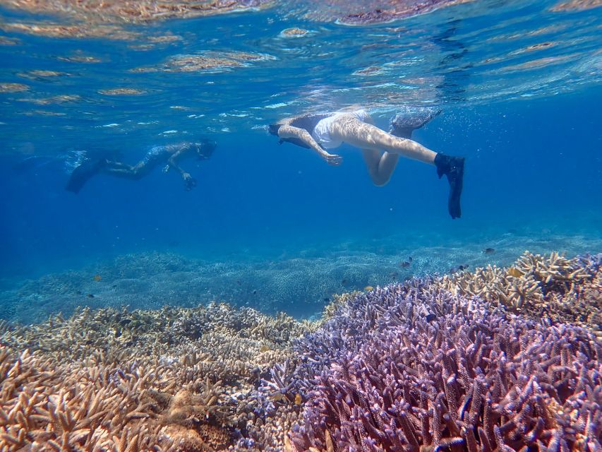 Ishigaki Island: Boat Snorkeling Tour at Phantom Island - Key takeaways before you go