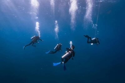 Isla Mujeres: Catamaran Ride with Open Bar, Snorkeling, and Lunch - Onboard: Open Bar Energy, Crew Vibes, and Space Reality