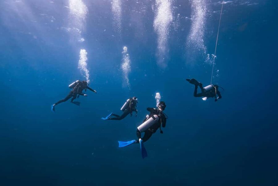 Isla Mujeres: Catamaran Ride with Open Bar, Snorkeling, and Lunch - Onboard: Open Bar Energy, Crew Vibes, and Space Reality