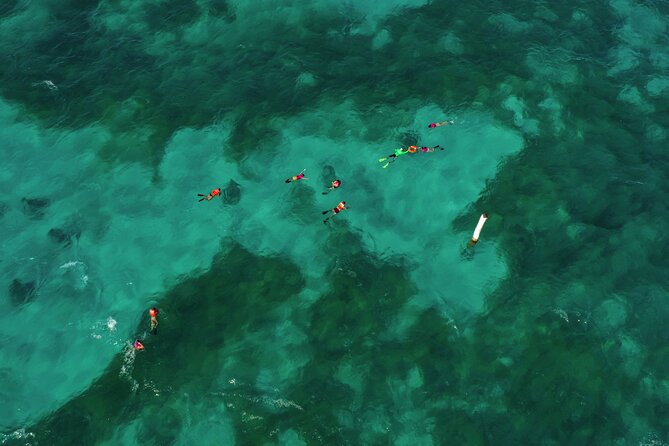 Isla Mujeres Island and Snorkeling Tour - Playa Norte: crystal water time, plus the snorkel option