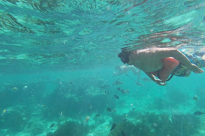 Isla Mujeres Snorkeling Adventure at the Underwater Museum - Guides, gear, and safety: where this tour earns its high marks