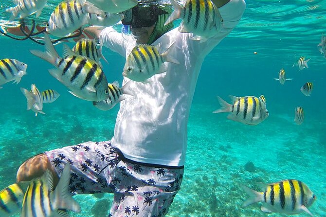 Isla Mujeres Snorkeling Adventure at the Underwater Museum - Lunch value: why eating is part of the experience