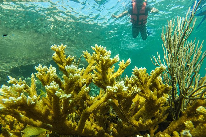 Isla Mujeres Snorkeling Tour Adventure - The Boat Ride Reality: Choppy Water Happens