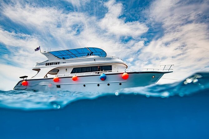 Journey of Diving or Snorkelling from a Boat - Key Highlights You’ll Actually Care About