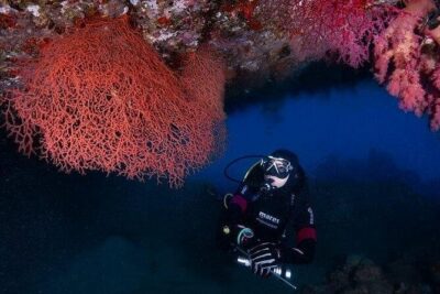 Journey of Diving or Snorkelling from a Boat - Getting Started: Ayla 5 Marina and the 9:00–4 Hour Plan