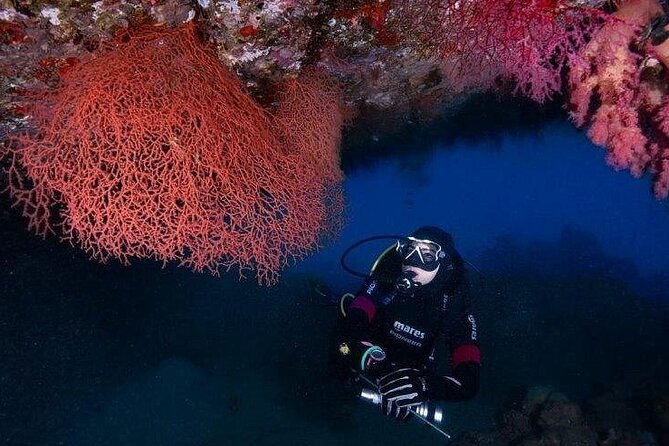 Journey of Diving or Snorkelling from a Boat - Getting Started: Ayla 5 Marina and the 9:00–4 Hour Plan