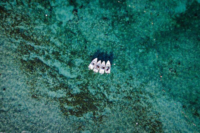 Jungle Tour & Snorkel at Punta Nizuc Reef , Underwater museum - Driving the lagoon on a speed boat: the fun you don’t get in a typical Cancun excursion