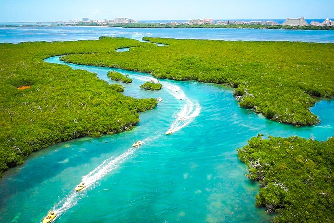 Jungle Tour with Snorkel in Cancun - Snorkeling the Underwater Museum and Coral Reef (Beginner Friendly)