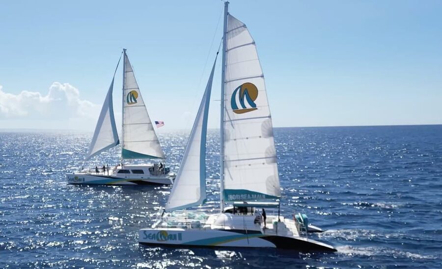 Ka'anapali Beach: Coral Reef Snorkel and Turtle Spotting - Quick hits before you go