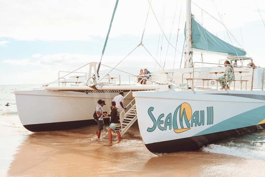 Ka'anapali Beach: Coral Reef Snorkel and Turtle Spotting - Helpful tips to make your snorkel day smoother