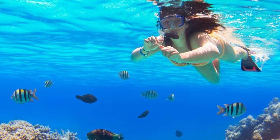 Ka'anapali Beach: Coral Reef Snorkel and Turtle Spotting - Cruise time: how the guide chooses Mala Wharf or another West Maui spot