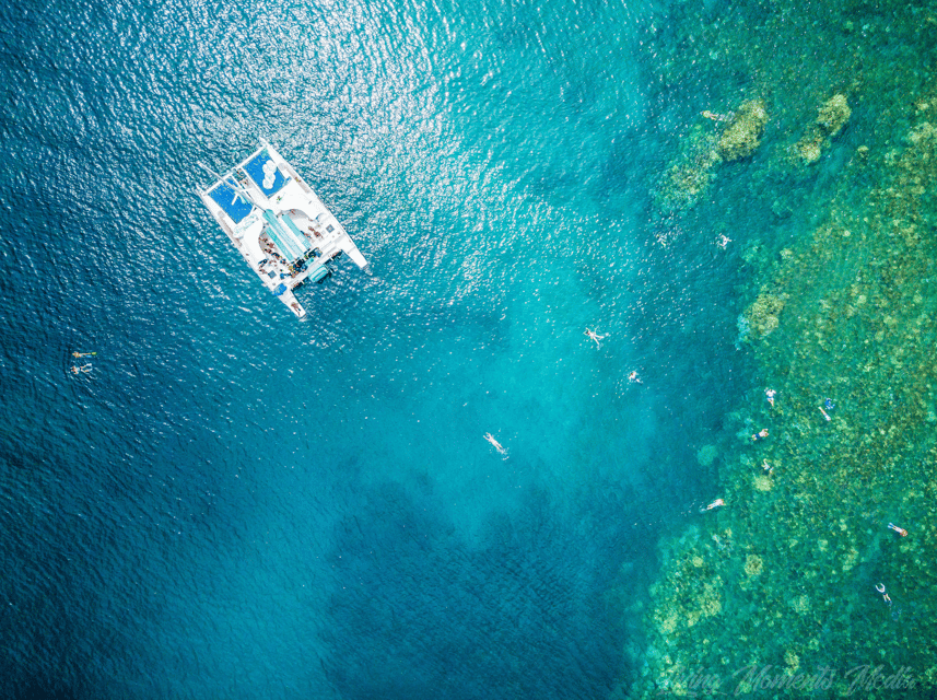Ka'anapali Beach: Coral Reef Snorkel and Turtle Spotting - Snorkeling for Hawaiian green sea turtles (what “express” really buys you)