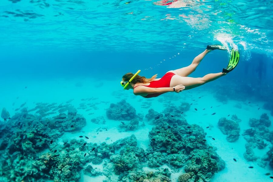 Ka'anapali Beach: Coral Reef Snorkel and Turtle Spotting - Time to get back for lunch (why the 150 minutes is a big deal)