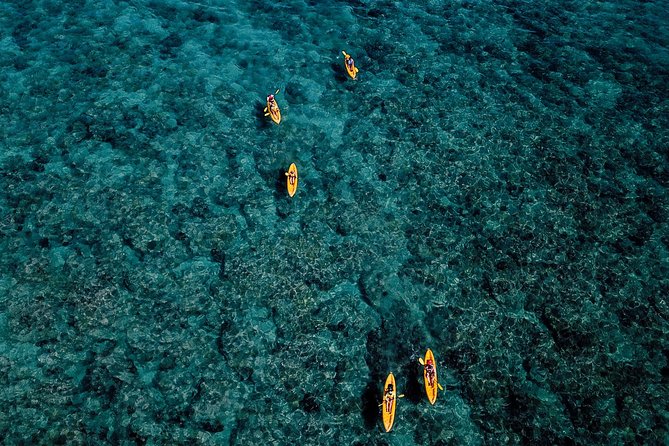 Kailua Bay, Oahu: Epic Kayak and Snorkel to Islands - Why Kailua Bay kayaking feels like real Hawaii time
