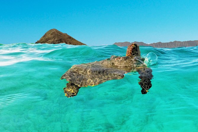 Kailua Bay, Oahu: Epic Kayak and Snorkel to Islands - Stop 2 at Kailua Beach Park: calm-water launching makes or breaks it