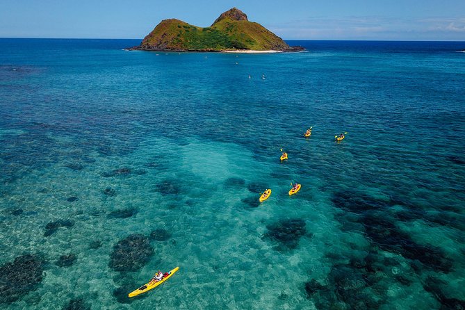 Kailua Bay, Oahu: Epic Kayak and Snorkel to Islands - Lanikai Beach paddling and snorkeling: turtles are the big reason