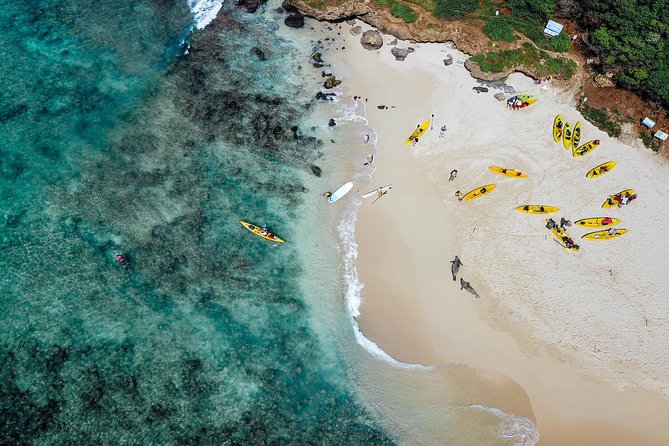 Kailua Bay, Oahu: Epic Kayak and Snorkel to Islands - Kailua Beach Adventures check-in: the prep that matters
