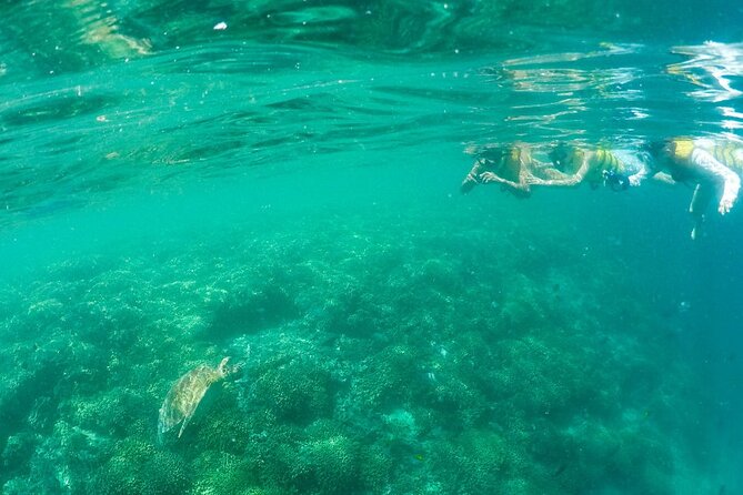 Kaneohe Sandbar Snorkeling Tour - 2nd Tour - Stop 2: 2 hours 10 minutes at Kaneohe Bay for snorkeling, paddle boards, and turtle spotting
