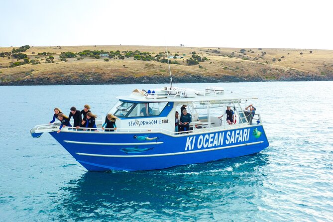 Kangaroo Island - Swim with Dolphins/Seals/Coastal Snorkel - Key Highlights You’ll Care About