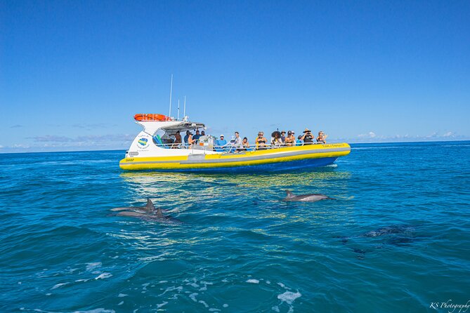Kauai: Na Pali Coast Super Raft Snorkel Adventure - Stop 2: Niihau from the water, the Forbidden Island vibe