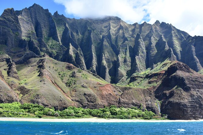 Kauai: Na Pali Coast Super Raft Snorkel Adventure - Wildlife spotting: dolphins, whales, and turtles work like an odds game
