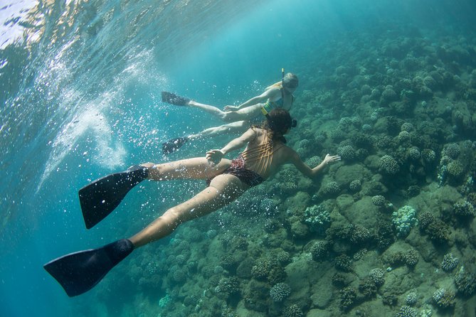 Kauai’s Na Pali Coast Snorkel and Sail Tour - Your Snorkel Stop: Gear, Float Support, and Turtle Chances