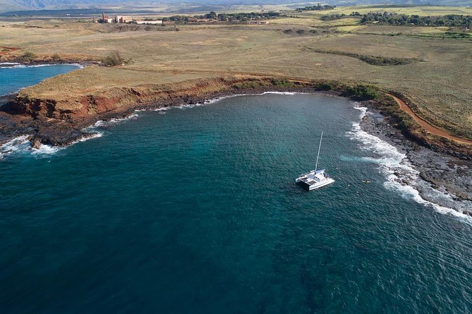 Kauai’s Na Pali Coast Snorkel and Sail Tour - Wildlife: Dolphins and Winter Whale Chances