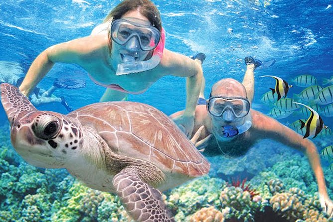 Kauai’s Ultimate Guided Shore Snorkel in South Poipu - Key things to know before you go