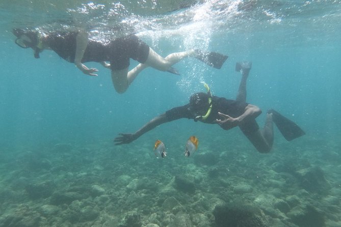 Kauai’s Ultimate Guided Shore Snorkel in South Poipu - Weather and sea conditions: plan for the day, not just the reef