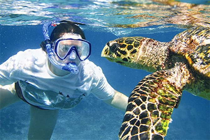 Kauai's Ultimate South Island Zodiac Boat Snorkel Adventure - Why a Zodiac boat on Kauai’s south shore is the right kind of exciting