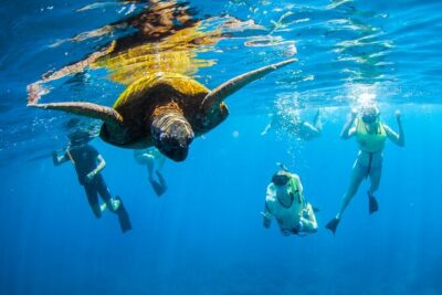 Kauai's Ultimate South Island Zodiac Boat Snorkel Adventure - The boat ride: fast enough to feel fun, controlled enough to feel safe