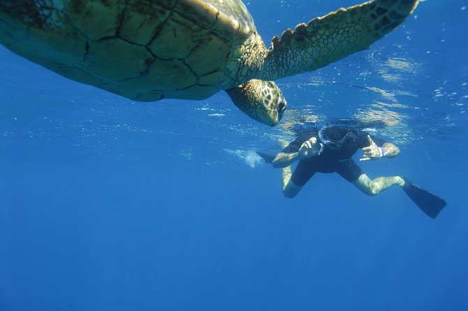 Kauai's Ultimate South Island Zodiac Boat Snorkel Adventure - Landmark spotting: Spouting Horn and Queen Emma from the water