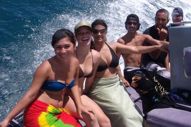 Kauai's Ultimate South Island Zodiac Boat Snorkel Adventure - Seeing dolphins from the boat: why it happens before the swims