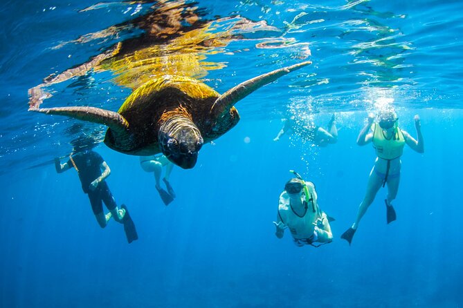 Kauai's Ultimate South Island Zodiac Boat Snorkel Adventure - The boat ride: fast enough to feel fun, controlled enough to feel safe
