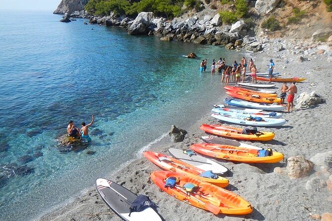 Kayak and Snorkeling Excursion in Maro Cerro Gordo Cliffs - Snorkeling in clear water: what you’ll see (and what might surprise you)