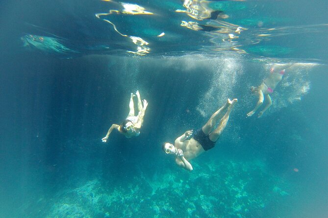 Kayak and Snorkeling Excursion in Maro Cerro Gordo Cliffs - Timing, communication, and the realities of sea-day schedules