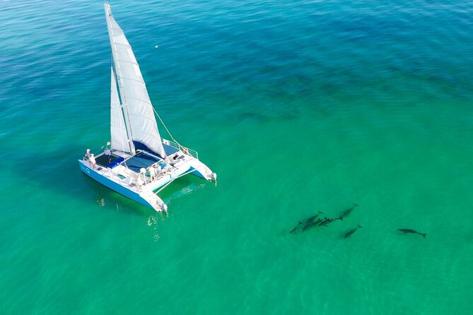 Kayak + Guided Snorkel & Morning Sail hosted by Honest Eco - Key Things to Know Before You Go