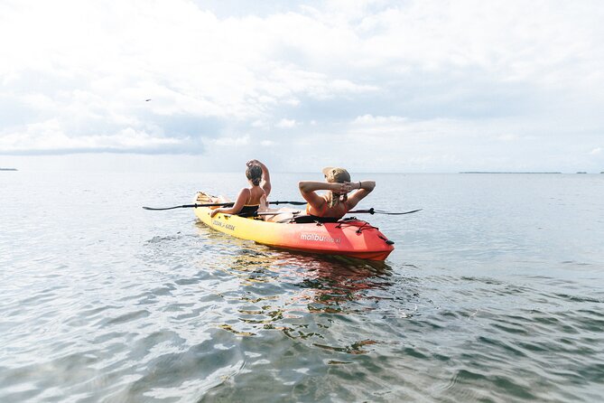 Kayak + Guided Snorkel & Morning Sail hosted by Honest Eco - Water Time That Actually Feels Local: Mangroves, Kayaks, and Wildlife
