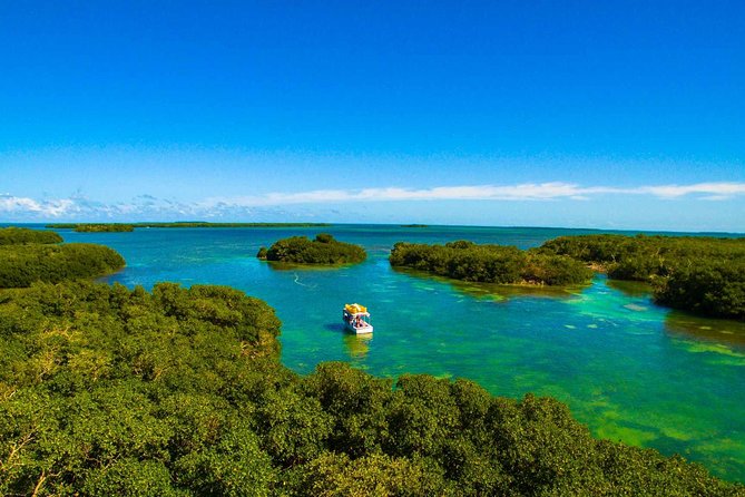 Kayak + Guided Snorkel & Morning Sail hosted by Honest Eco - Stop 2: The Rhythm of Snorkel, Kayak, Sail, and Organic Snacks