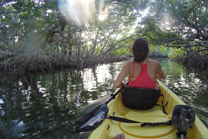 Kayak + Guided Snorkel & Morning Sail hosted by Honest Eco - Gear, Wetsuits, and What You Still Need to Bring