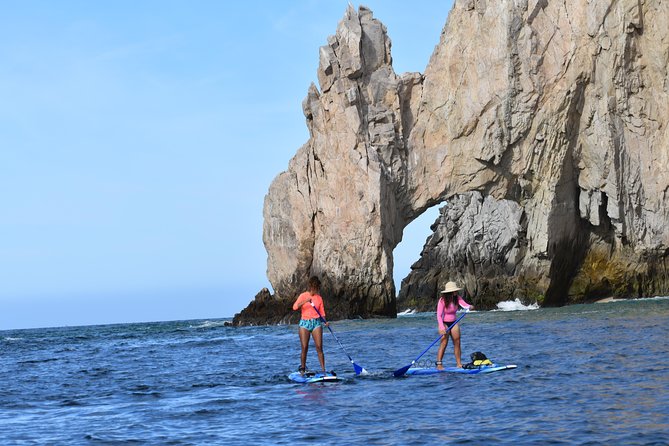 Kayak or Paddle Board & Snorkel to the Arch with Photos included - What Happens on the Water: The Marine-Life Briefing You’ll Actually Use