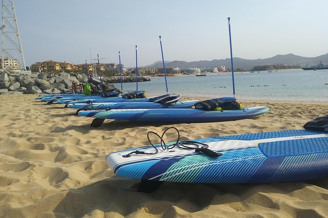 Kayak or Paddle Board & Snorkel to the Arch with Photos included - Pelican Rock Snorkeling: Great Fish Time, But Know the Swim Reality